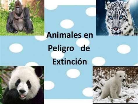 Todos los Animales en Peligro de Extincion | Información