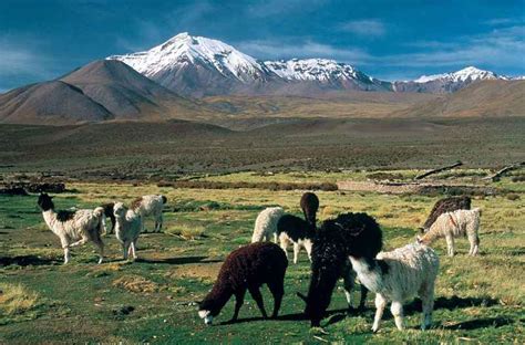 Todos Los Caminos Hacia Ti: Chile : Peligra Parque ...