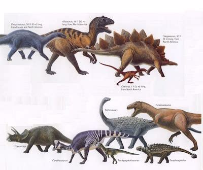 Todos los Tipos de Dinosaurios que existieron