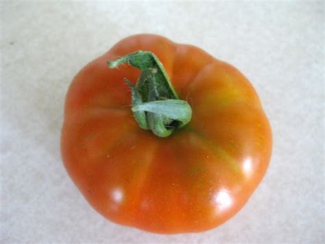 Tomato El Nano Seeds | Garden Hoard – Certified Organic ...
