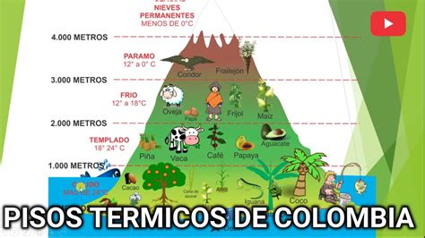 TOMi.digital   los pisos térmicos, el clima de Colombia