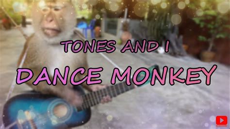 Tones And I   Dance Monkey  Lyrics    YouTube