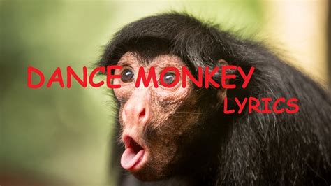 Tones and I   Dance Monkey  Lyrics    YouTube