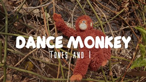 TONES AND I   DANCE MONKEY  MUSIC VIDEO    YouTube