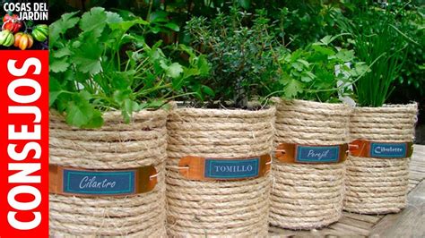 TOP 10 consejos para cultivar plantas aromaticas en maceta ...