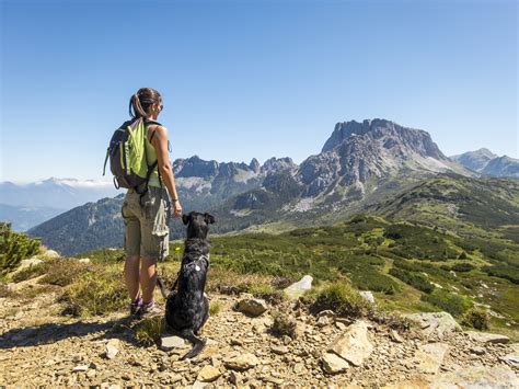 Top 10 Nearby Dog Friendly Hikes in Colorado   303 Magazine