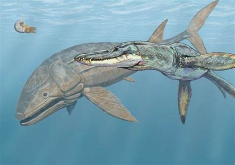 Top 10 Terrifying Prehistoric Sea Monsters | Extinct animals ...