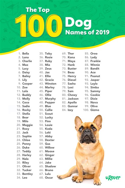 Top 100 Most Popular Dog Names in 2020 | Rover.com | Dog names, Top dog ...