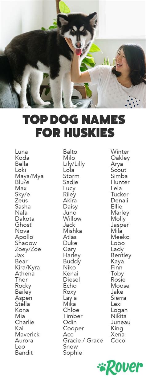 Top 100 Most Popular Husky Names of 2020 | Funny dog names, Pet names ...