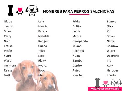 Top 200 Nombres para Perros Salchichas | Actualizado 2021