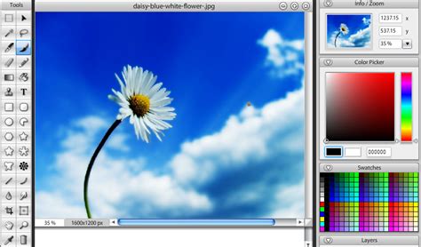 Top 5 Free Online Photo Editors Mostly Like Photoshop ...