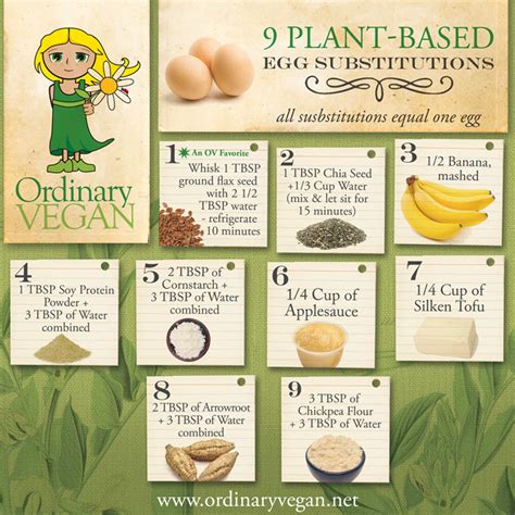 Top 9 Plant Based Egg Substitutes For A Healthy Diet