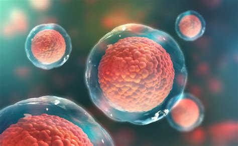 Top Potential Uses of Stem Cells to Treat Disease ...
