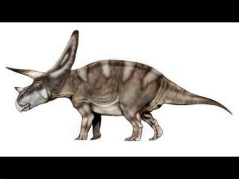 Torosaurus | Enciclopedia sobre Dinosaurios   YouTube