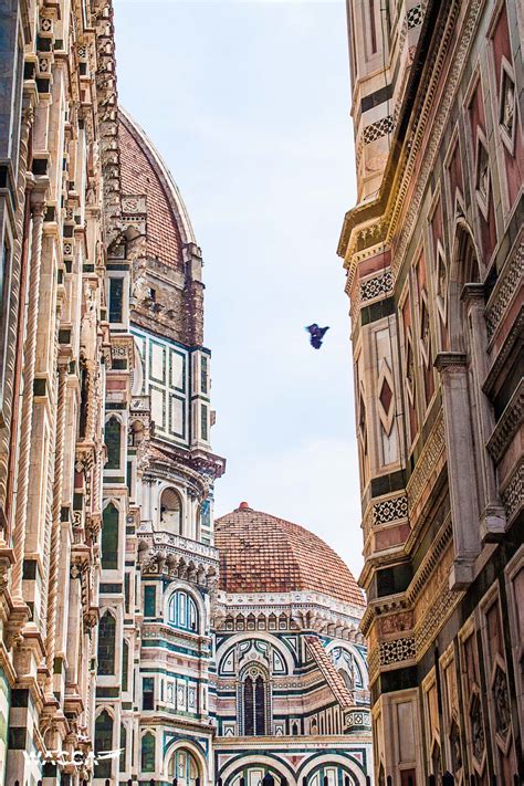 Toscane: de grootstad Firenze | Wacca