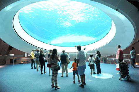 Tour Miami’s newly opened Frost Museum of Science   Curbed ...