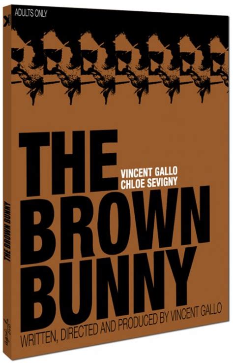 Tout sur le DVD Brown Bunny de Vincent Gallo avec Chloë ...