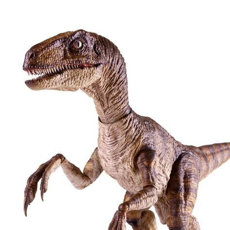 ToysTNT   Jurassic Park Figura 1/6 Velociraptor 64 cm