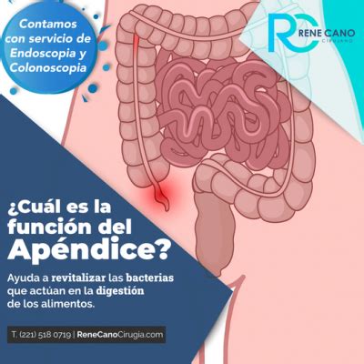 TP   Diferencias entre Gastritis y Colitis   Dr. René Cano Cirujano ...