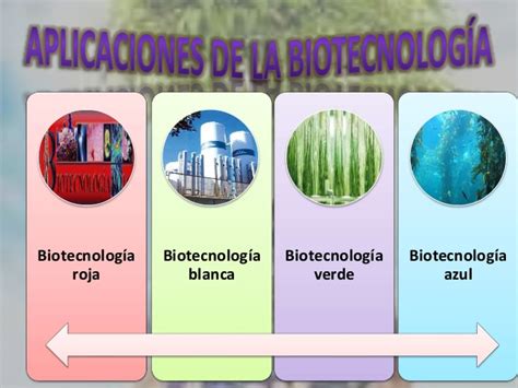 Trabajos de ABG: Biotecnología Aplicada a la Salud Humana