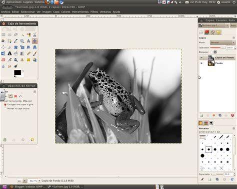 trabajos GIMP: convertir una imagen a blanco y negro