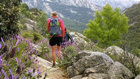 Trail Running in Madrid   Trail Running Tours in Spain ...