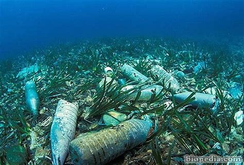 Transnacionales más contaminantes del mundo marino ...