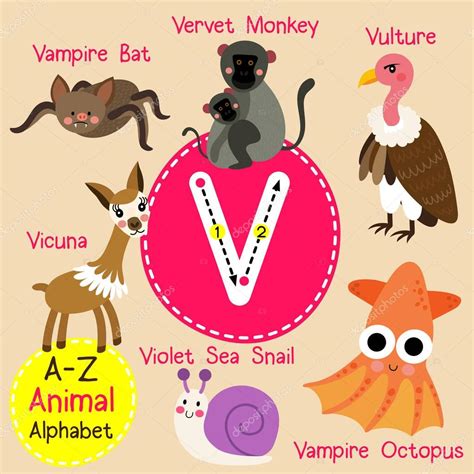 Trazo de letra de alfabeto V niños lindo zoo de animales ...