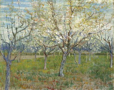Trees in the landscape: 5. Vincent van Gogh and swirling ...