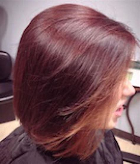 Trending this Fall: Chocolate Cherry Hair Color | Cherry ...