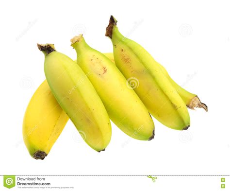 Tres Pequeños Plátanos En Un Plátano Del Tamaño Regular ...