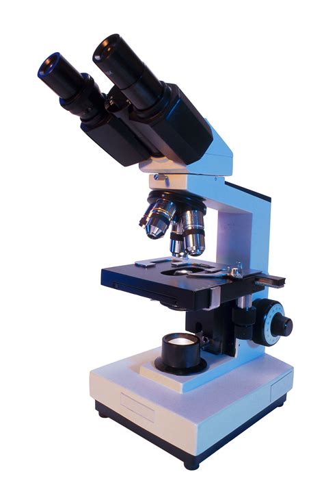 Tres Tipos De Microscopios Para Observar Las Celulas ...