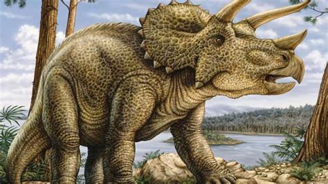 Triceratops   INFORMACION TOTAL 2017   YouTube