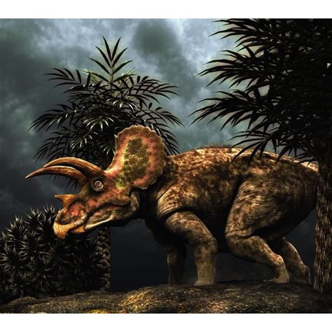 Triceratops was a herbivorous dinosaur from the Cretaceous ...