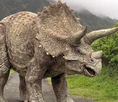 Triceratops | Wiki Jurassic Park | FANDOM powered by Wikia