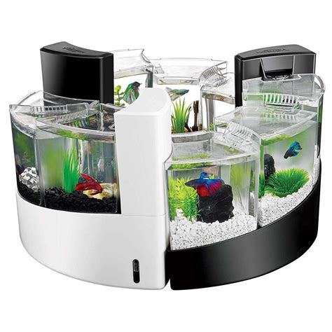 Triple Betta Tank Setup Aquarium Fish Waterfall Centerpiece