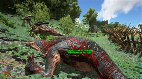 Truly  The best gathering dino s | Ark Survival Evolved Amino