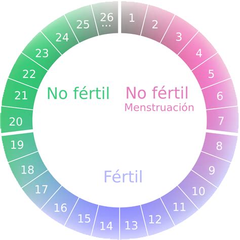 Tu Calendario Menstrual: Herramienta para Identificar tus Días Fértiles ...