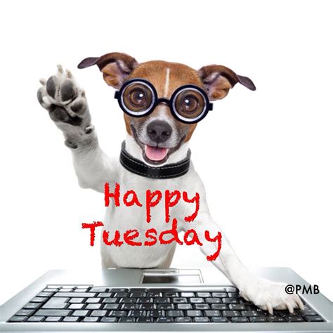 Tuesday #MyPmb | Tuesday humor, Good morning tuesday ...