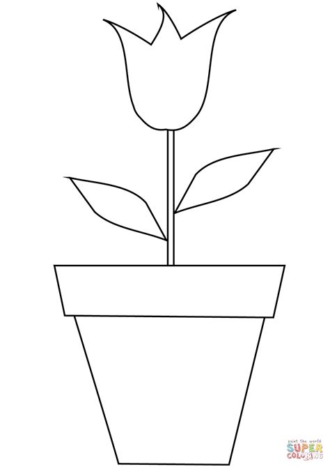 Tulip in a Pot coloring page | Free Printable Coloring Pages