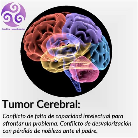 Tumor cerebral | Sanar las heridas. Coaching de Salud ...
