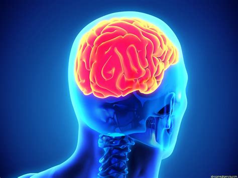 Tumor en el cerebro: Qué es, causas, síntomas y mucho más