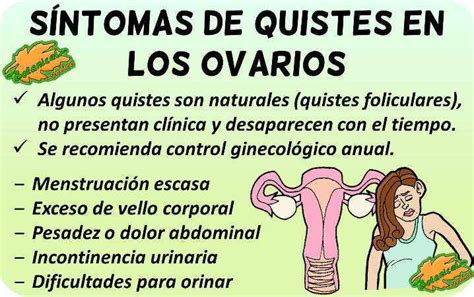 Tumor En Los Ovarios   SEONegativo.com