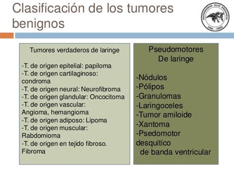 Tumores benignos de Laringe