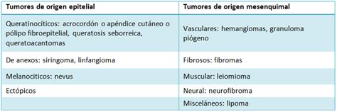 Tumores benignos de vulva: revisión y caso clínico de acrocordón   Medwave