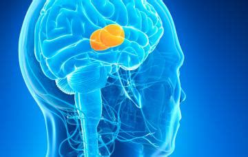 Tumores cerebrales Causas, síntomas y tratamiento