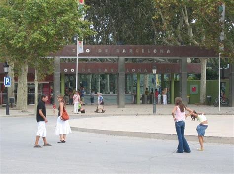 Turismo Barcelona: Zoo de Barcelona
