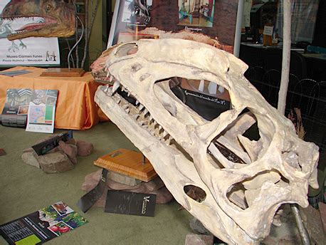 Turismo expone replicas del dinosaurio Zupaysaurus del ...