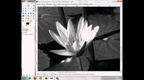 Tutorial GIMP: como convertir una imagen a blanco y negro y una parte ...