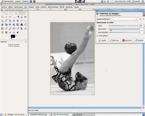 tutorial gimp: Convertir una imagen en blanco y negro